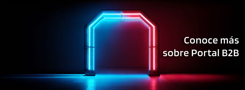 Portal-B2B